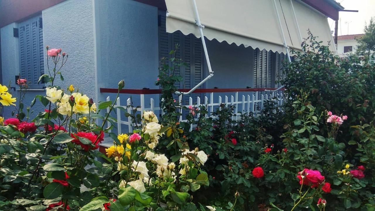 Rose'S House Apartment Trikala  Bagian luar foto
